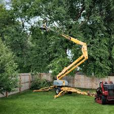 Leaf Removal in Beattyville, KY