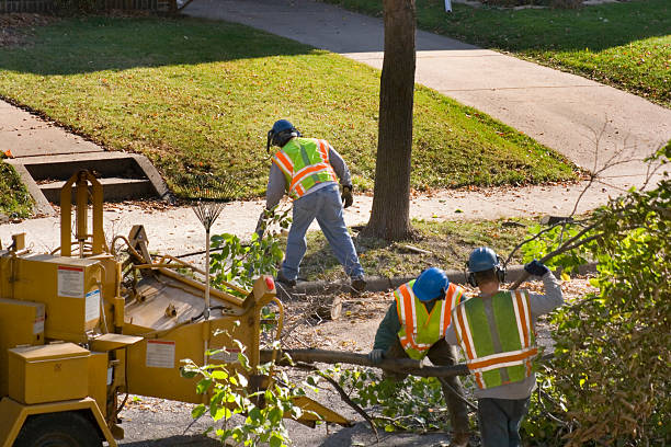 Best Seasonal Cleanup (Spring/Fall)  in Beattyville, KY