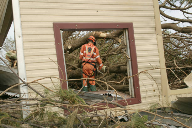 Trusted Beattyville, KY Tree Services Experts