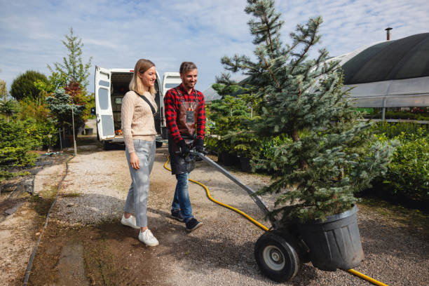 Best Leaf Removal  in Beattyville, KY